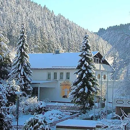 Altes Doktorhaus - Garni Otel 3*